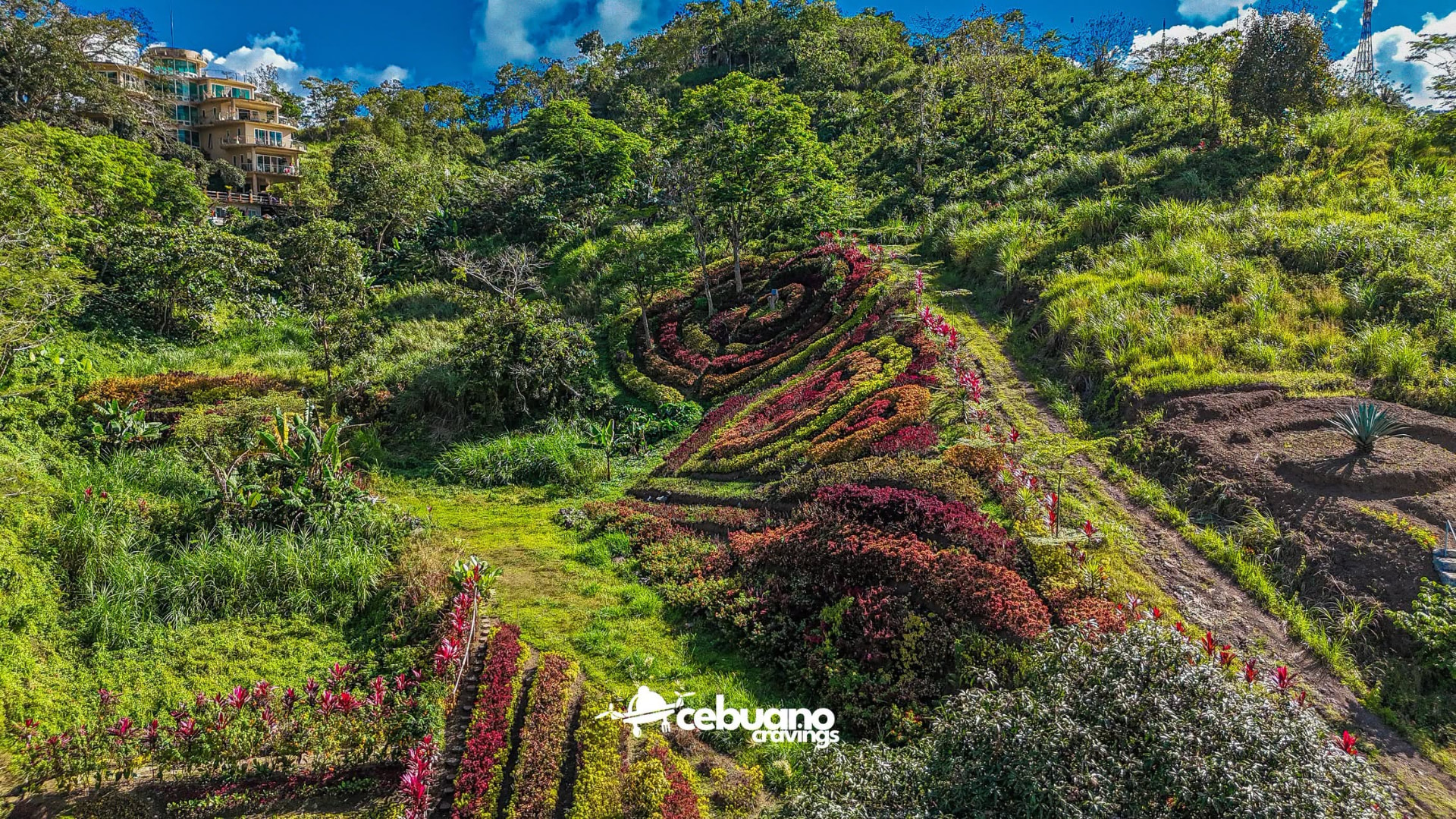 Terraced ornamental gardens in red and green foliage climbing the Soul Sierra hillside